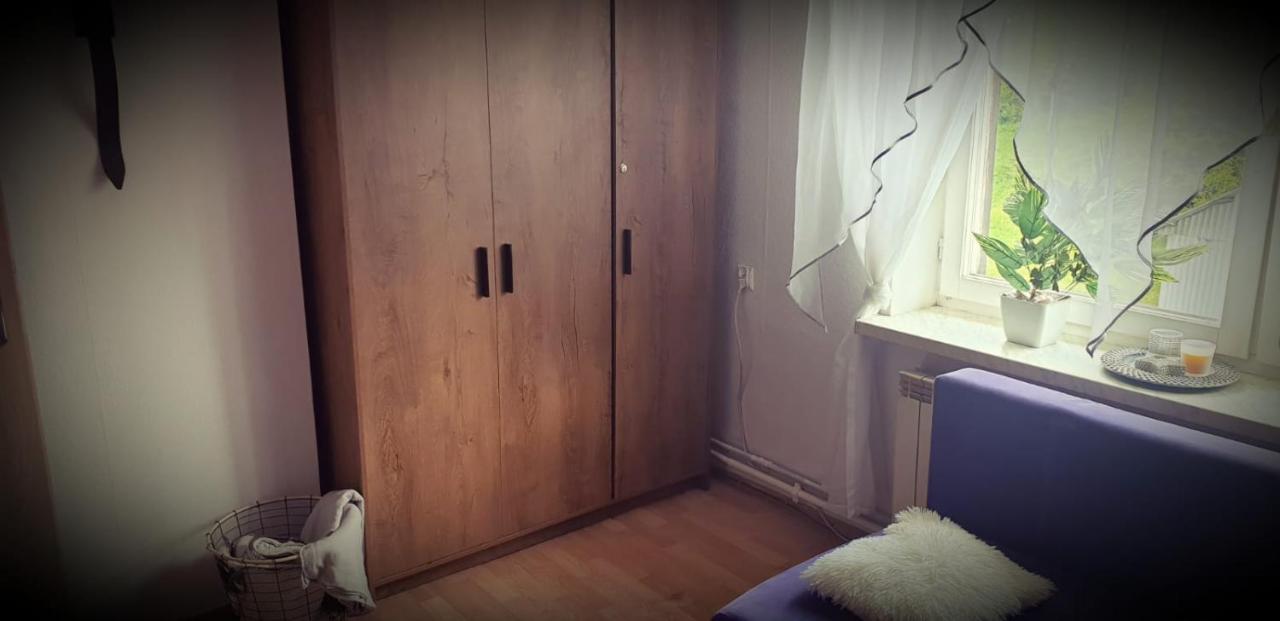 Apartament Wrzos Bieszczady Czarna  Ngoại thất bức ảnh