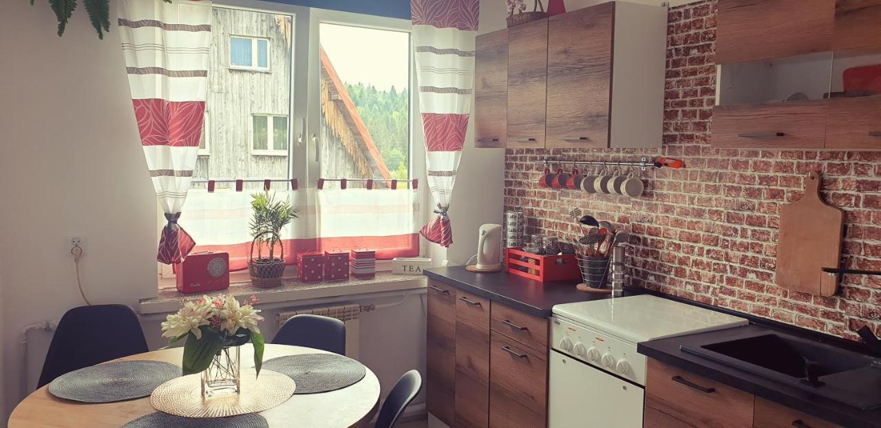 Apartament Wrzos Bieszczady Czarna  Ngoại thất bức ảnh